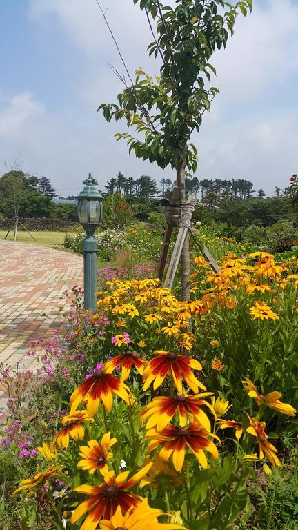 Baghdad House Villa Jeju Ngoại thất bức ảnh
