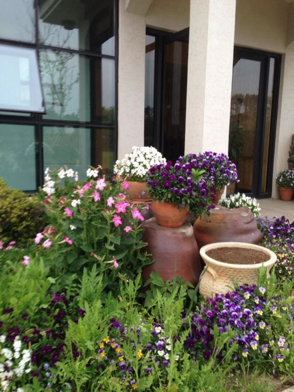 Baghdad House Villa Jeju Ngoại thất bức ảnh