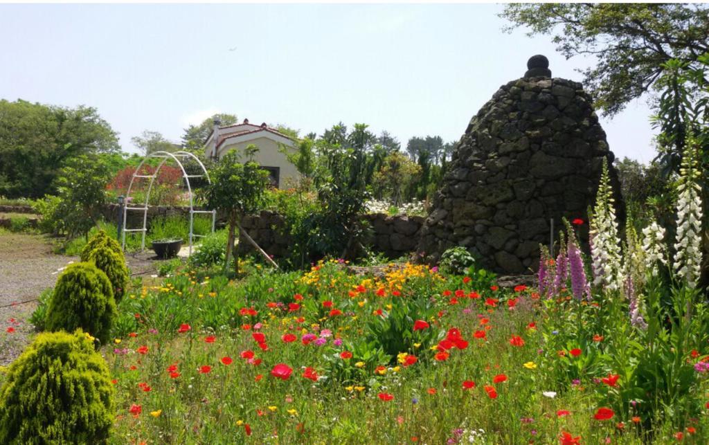Baghdad House Villa Jeju Ngoại thất bức ảnh