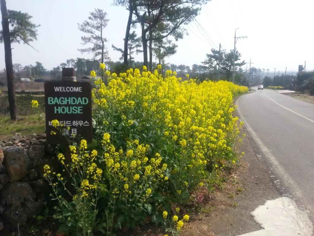 Baghdad House Villa Jeju Ngoại thất bức ảnh