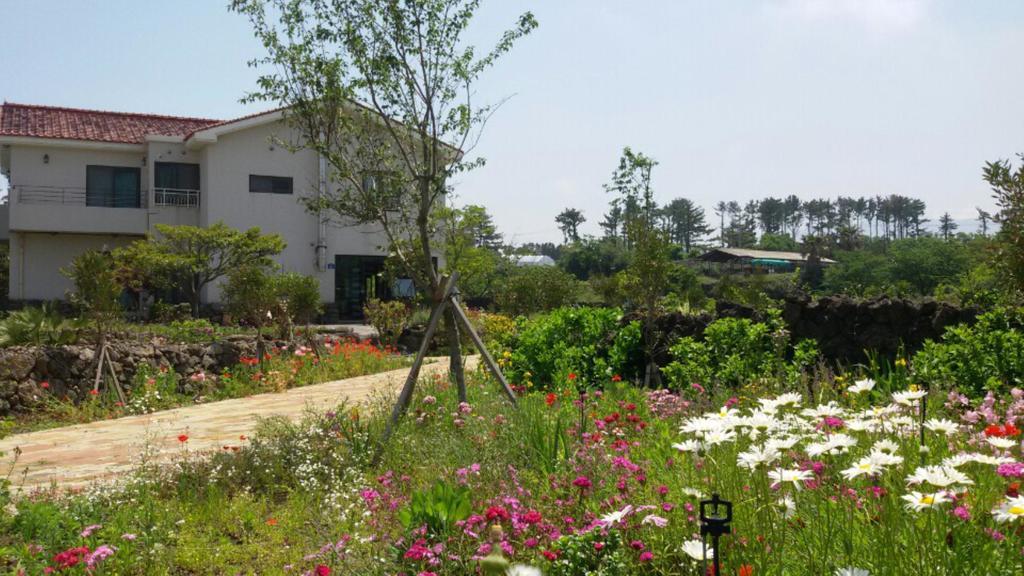 Baghdad House Villa Jeju Ngoại thất bức ảnh