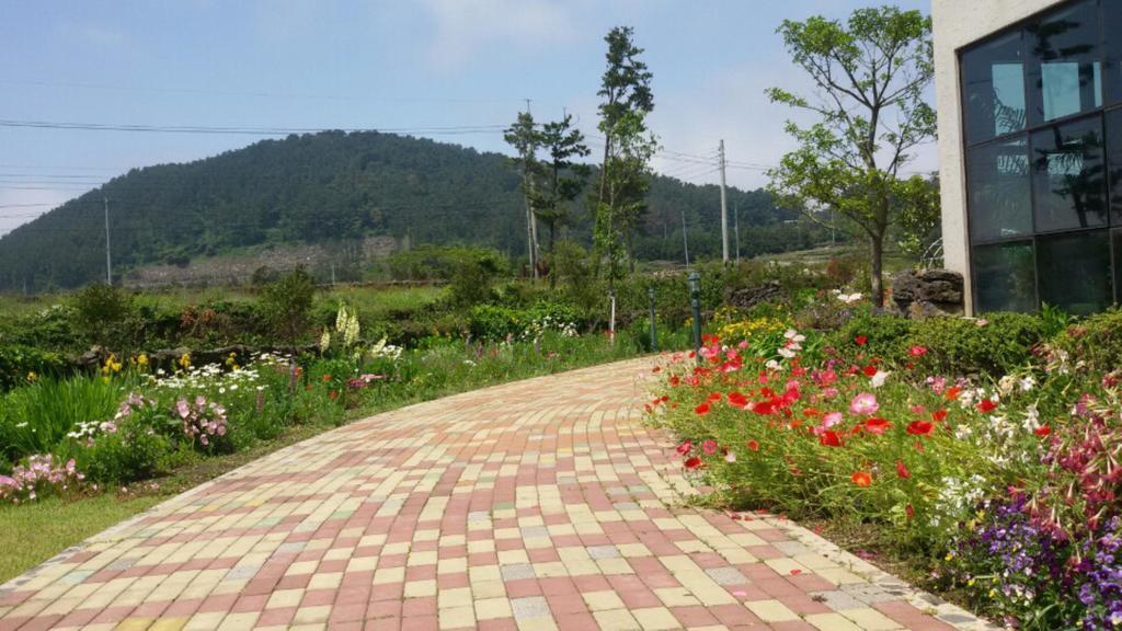 Baghdad House Villa Jeju Ngoại thất bức ảnh