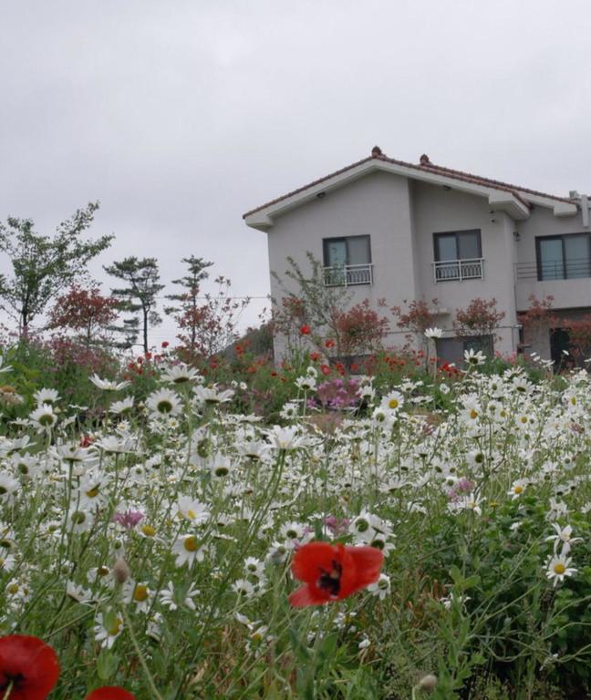 Baghdad House Villa Jeju Ngoại thất bức ảnh
