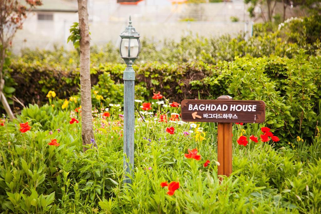 Baghdad House Villa Jeju Ngoại thất bức ảnh