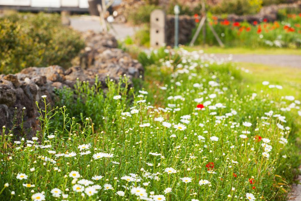 Baghdad House Villa Jeju Ngoại thất bức ảnh