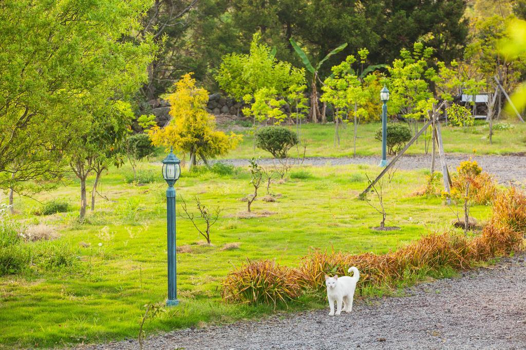 Baghdad House Villa Jeju Ngoại thất bức ảnh
