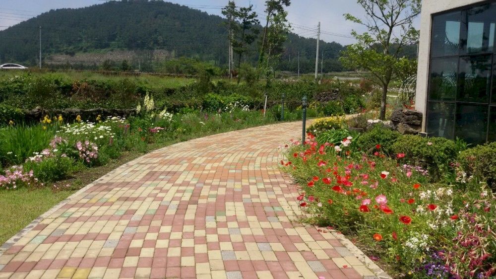 Baghdad House Villa Jeju Ngoại thất bức ảnh