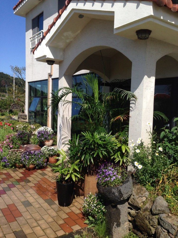Baghdad House Villa Jeju Ngoại thất bức ảnh