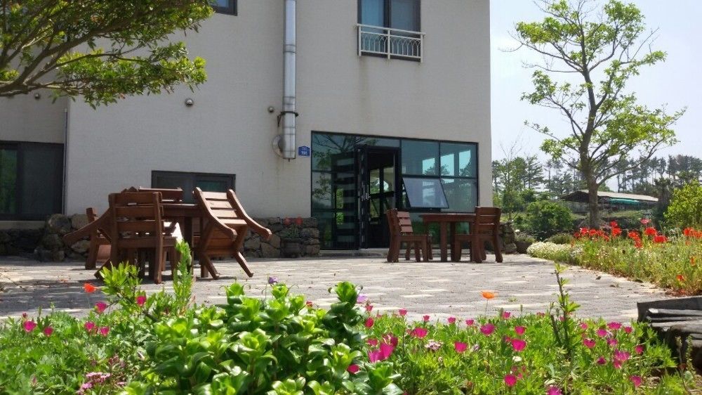 Baghdad House Villa Jeju Ngoại thất bức ảnh