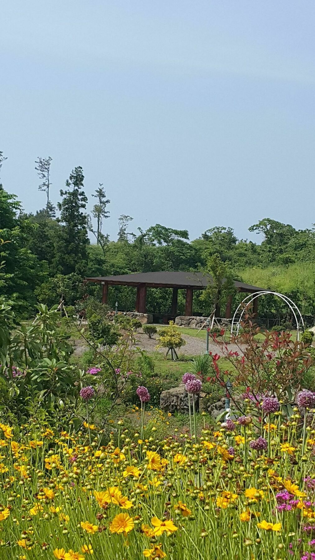 Baghdad House Villa Jeju Ngoại thất bức ảnh